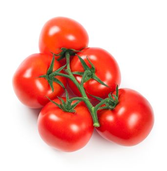 Branch of fresh tomatoes on white background