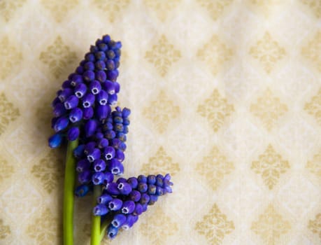 fabric background with dark blue flowers