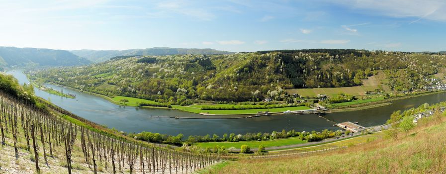 Moselle Valley with the lock near Enkirch panorama in spring