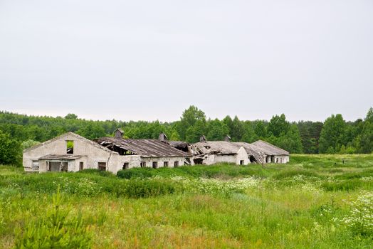 The picture of the abandoned cow farm