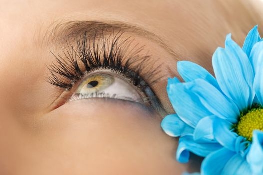 closeup of the eye of woman with creative eyelashes and blue daisy