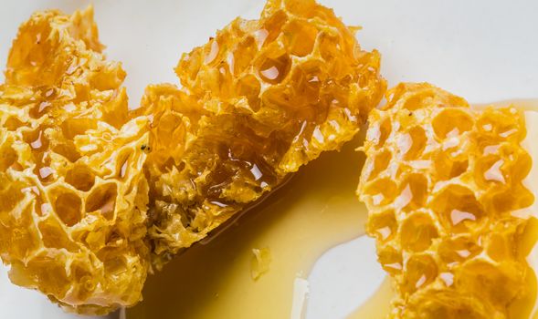 still life with pieces of a honeycomb with honey