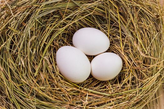 Nest with Easter eggs on the background boards