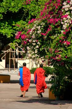 Two monks walking at Wat Si Saket, Vientiane, Laos, Southeast Asia