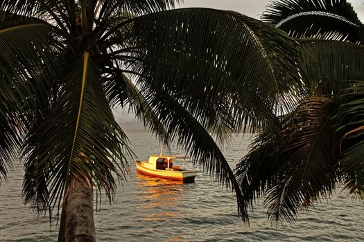 Silhouette of palm trees and a boat at sunset, Savusavu harbor, Vanua Levu island, Fiji, South Pacific