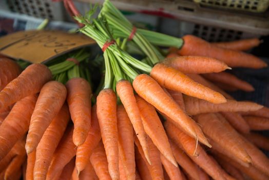 A bunch of fresh carrots on natural background