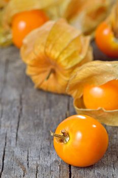 Physalis fruit on old wood