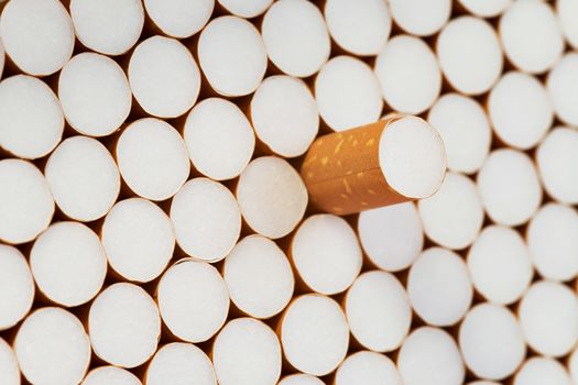 Detail of the heap of filter cigarettes