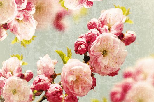 Abstract Vintage Pink Small Roses Background 