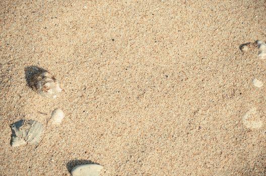 Summer Abstract Sand Background With Shells and Stones
