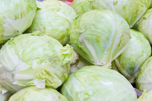 Photo of the background with fresh cabbage