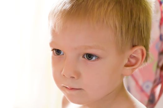 Portrait of cute boy with blond hair