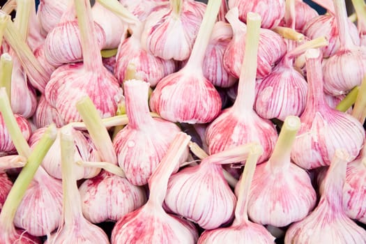 Photo of background with fresh white garlic 