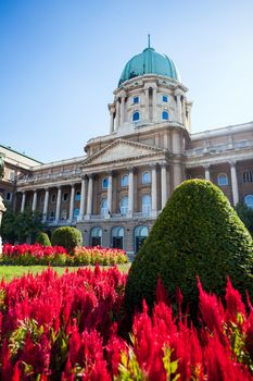 BUDAPEST, HUNGARY - AUGUST 2: Red flowers in front of Buda Castle, Budapest Hungary