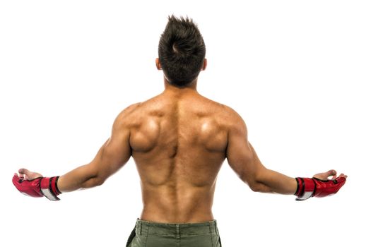 Back of young muscle man with arms spread open, wearing mixed martial arts gloves. Isolated on white background