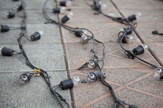 Bulbs and wiring. Placed on the path. Was to decorate the tree.