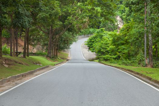 Road to the ramp. Destination is a straight curve. Either side of a tree.