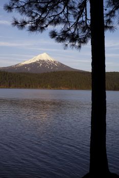 Vertical comp of scense near Mount McGloughlin