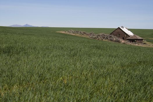 An abandoned farm house uses up valuable farm land 