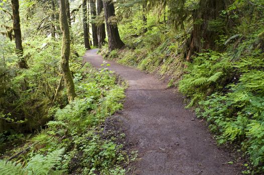 Portland Oregon and Trail to Punch Bowl Falls Waterfall