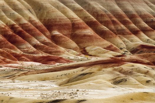 A Tight Shot of The Geology in Painted Hills Oregon State USA North America