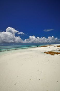 Zanzibar beach and coral rocks bule green ozean Tanzania