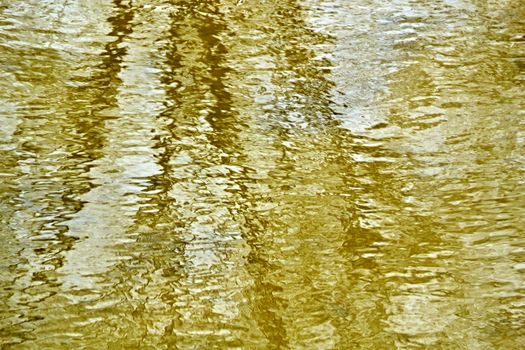 background or texture mirrored trees in water