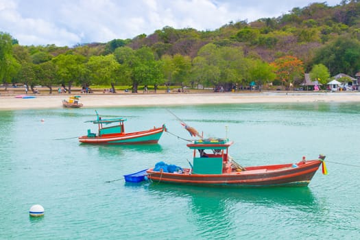 Small fishing boats moored in the sea. Behind the mountains and trees.