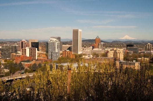 Portland Oregon downtown with Mount Hood standing in the background