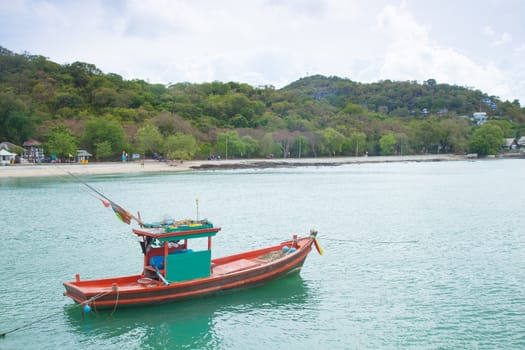 Small fishing boats moored in the sea. Behind the mountains and trees.