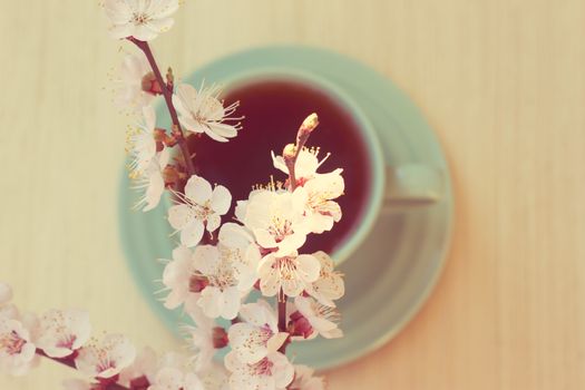 Cup of tea with blooming cherry twig. toning