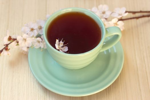 Cup of tea with blooming cherry twig. toning