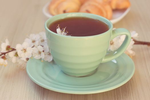 Cup of tea and croissants near blossoming branches. toning