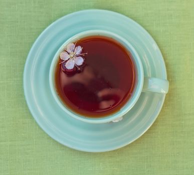 Green cup of tea. View from above. toning