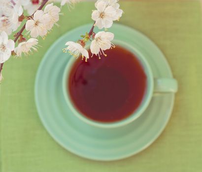 Green cup of tea. View from above. toning