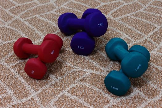 Three pairs of dumbbells of blue, red and green are on the carpet