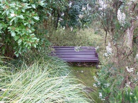 Partly hidden bench in foliage in a park 