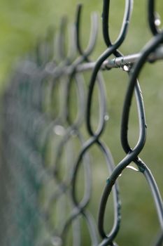 fence after rain
