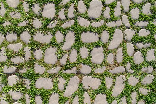 cobblestone with a grass