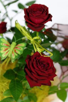 two red roses