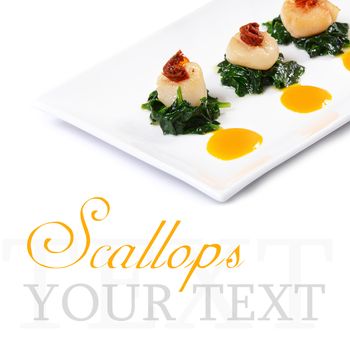 sea scallops with spinach and tomatoes close-up