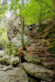 Stone staircase leading up a walkway through the Doubrava valley, Czech Republic