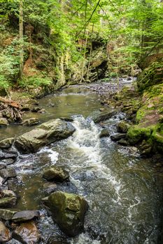 small czech mountain creek Doubrava in Czech Republic