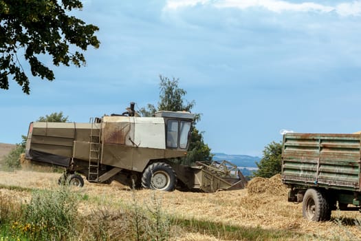 old combine on field harvesting wheat in sunny weather