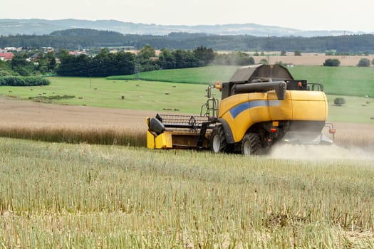 yellow combine in summer harvesting rape on farmlad, rural scene