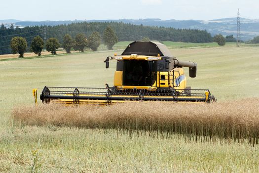 yellow combine in summer harvesting rape on farmlad, rural scene