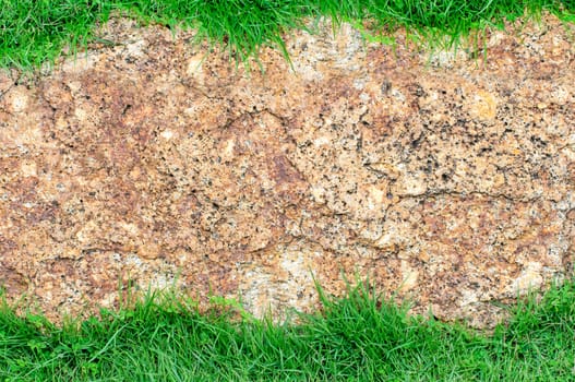 Green grass and background as a rock