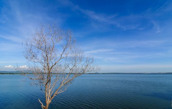 Reservoir in the bang phra, Chonburi Thailand.