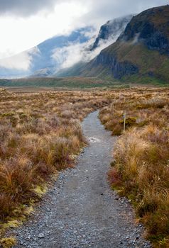Public tramping track at Tongariro National Park in New Zealand