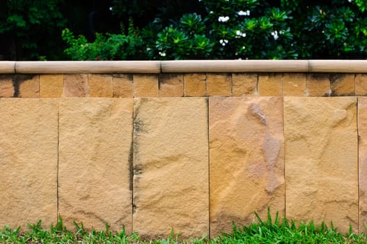 Green grass and background as a rock